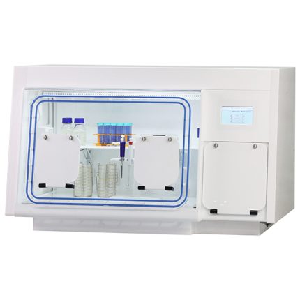 stazione di lavoro anaerobica microaerobica