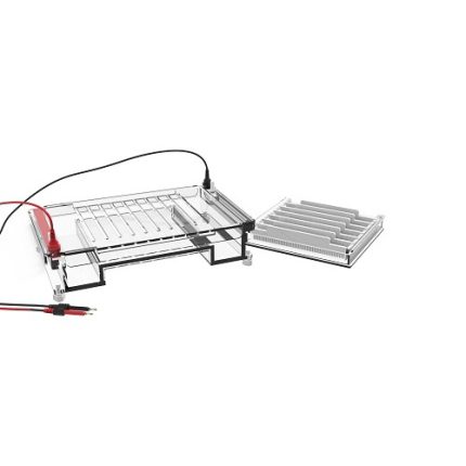 cella di elettroforesi orizzontale ad alta produttività