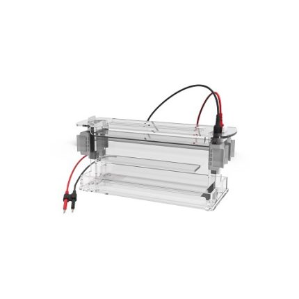 cella di elettroforesi verticale ad alto rendimento