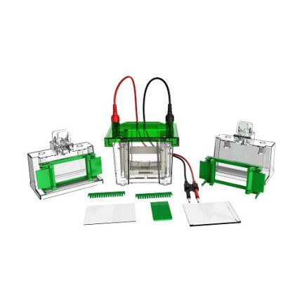 mini cella di elettroforesi verticale