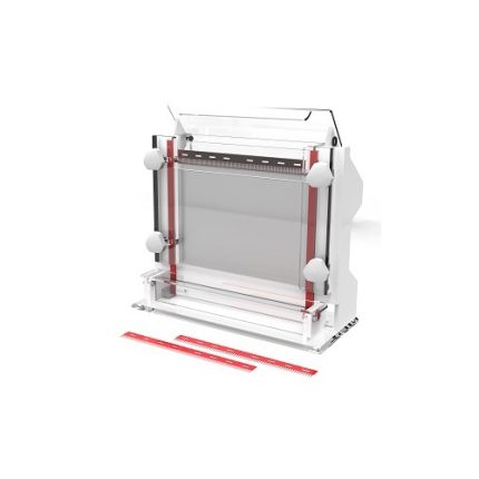 sequenziamento degli acidi nucleici elettroforesi cellulare