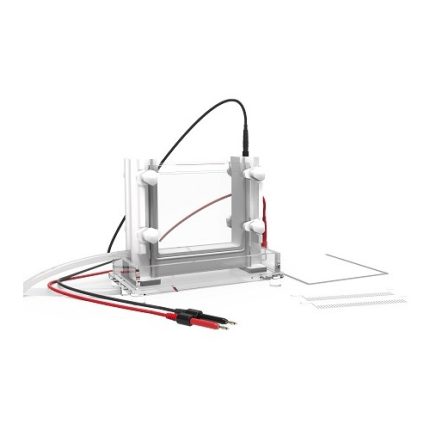 cella di elettroforesi verticale